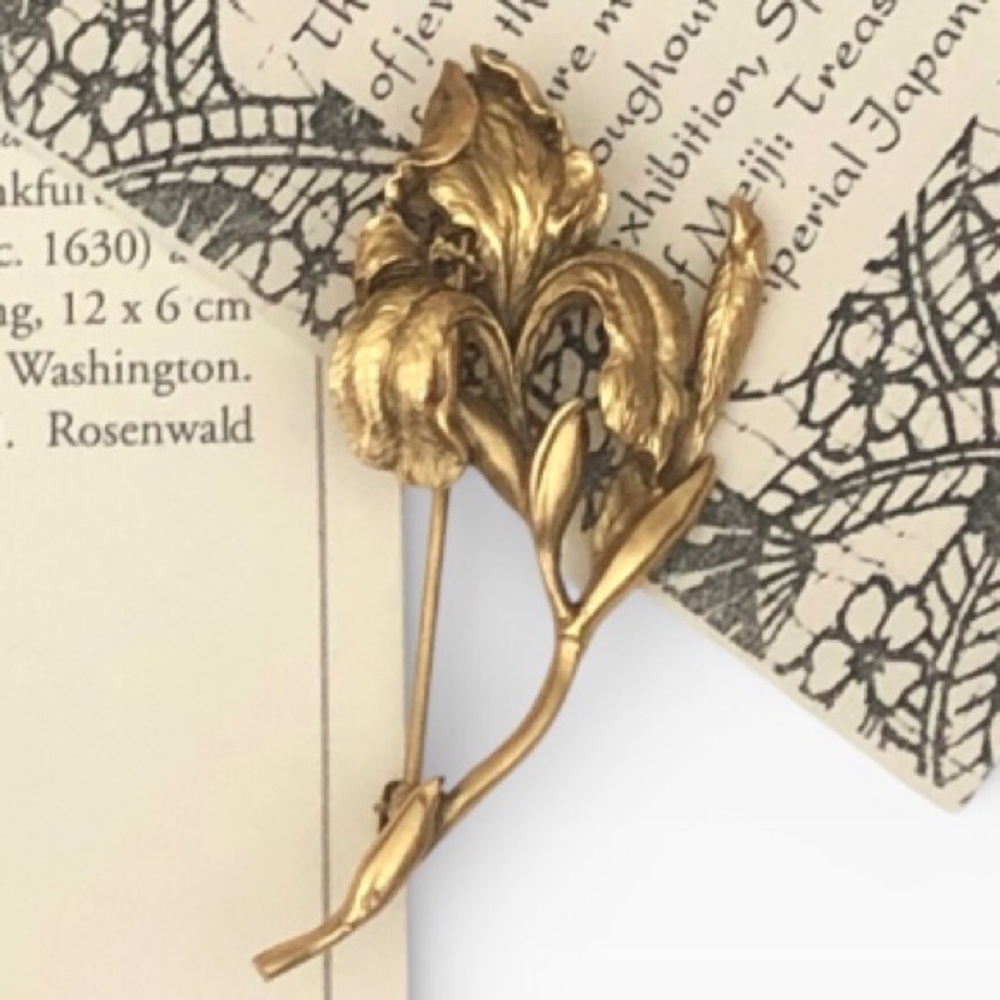 NGA Meiji: Treasures of Imperial Japan Exhibition Iris Brooch